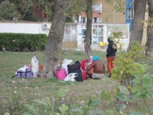 Cu căţel, purcel şi bebeluş, o familie de etnie romă locuieşte în faţa unui bloc din Poarta 6